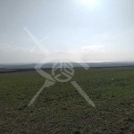 Парцел в с. Кошарица, Област Бургас - 3261 кв.м за 16 €/кв.м - Снимка #1
