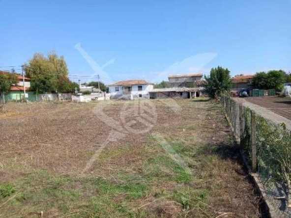 Парцел в с. Шишманци, Област Пловдив - 1600 кв.м за 34 €/кв.м - Снимка #1