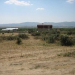 Парцел в Карлово - 2000 кв.м за 25 €/кв.м - Снимка #1