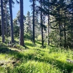 Парцел в Пловдив, Христо Смирненски - 1000 кв.м за 15 €/кв.м - Снимка #1