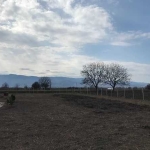 Парцел в с. Ягодово, Област Пловдив - 2500 кв.м за 100 €/кв.м - Снимка #1