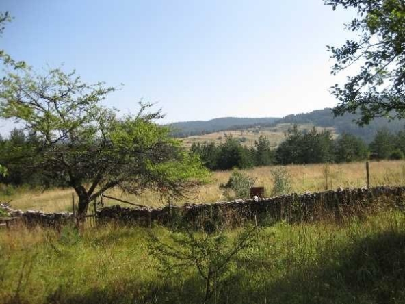 Къща в с. Ситово, Област Пловдив - 75 кв.м за 427 €/кв.м - Снимка #1