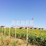 Парцел в Поморие - 5201 кв.м за 40 €/кв.м - Снимка #1