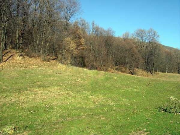 Земеделски имот в Калофер -  кв.м за 5 €/дка - Снимка #1