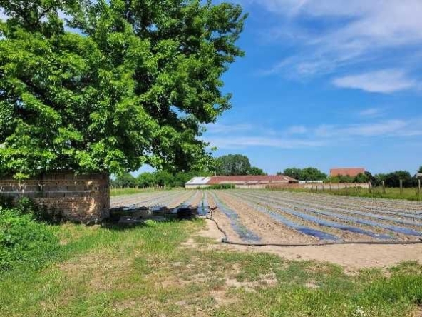 Парцел в с. Калековец, Област Пловдив - 2795 кв.м за 15 €/кв.м - Снимка #1