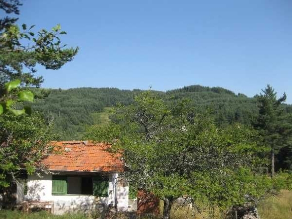 Къща в с. Ситово, Област Пловдив - 75 кв.м за 427 €/кв.м - Снимка #1