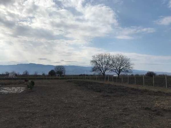 Парцел в с. Ягодово, Област Пловдив - 2500 кв.м за 100 €/кв.м - Снимка #1