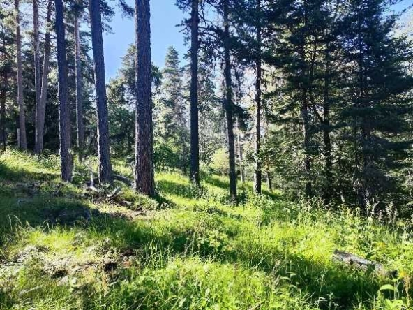 Парцел в Пловдив, Тракия - 1000 кв.м за 8 €/кв.м - Снимка #1