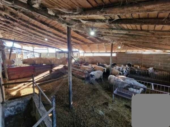 Промишлена сграда в с. Боянци, Област Пловдив - 250 кв.м за 116 €/кв.м - Снимка #1