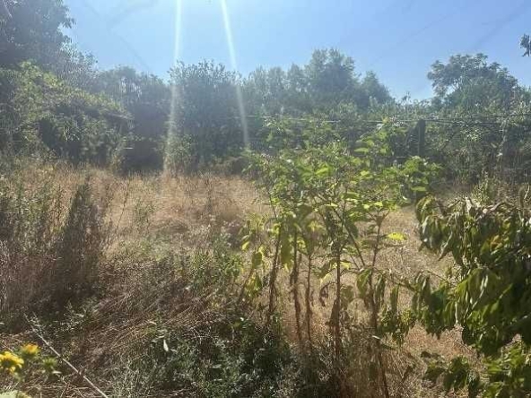 Къща в с. Пъдарско, Област Пловдив - 70 кв.м за 500 €/кв.м - Снимка #1