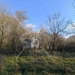 Парцел в к.к. Слънчев бряг - 450 кв.м за 26 €/кв.м - Снимка #1