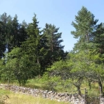 Къща в с. Ситово, Област Силистра - 50 кв.м за 590 €/кв.м - Снимка #1