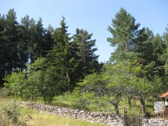 Къща в с. Ситово, Област Силистра - 50 кв.м за 590 €/кв.м - Снимка #1