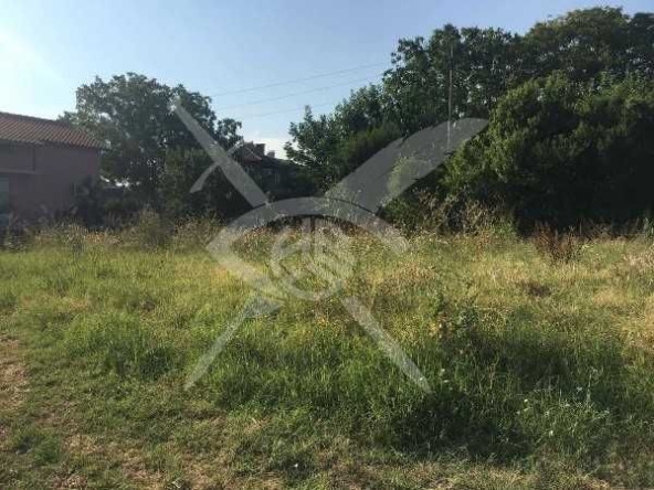 Парцел в с. Браниполе, Област Пловдив - 1854 кв.м за 118 €/кв.м - Снимка #1