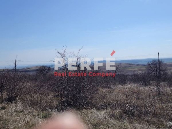 Парцел в с. Изворище, Област Бургас - 1000 кв.м за 20 €/кв.м - Снимка #1