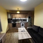 Дава се под наем Двустаен апартамент в Пловдив, Кючук Париж - 50 кв.м за 387.6 € - Снимка #1