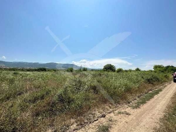 Парцел в с. Белащица, Област Пловдив - 9800 кв.м за 57 €/кв.м - Снимка #1