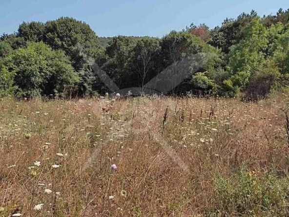 Парцел в Несебър - 14878 кв.м за 7 €/кв.м - Снимка #1