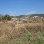 Парцел в с. Кошарица, Област Бургас - 4212 кв.м за 11 €/кв.м - Снимка #1