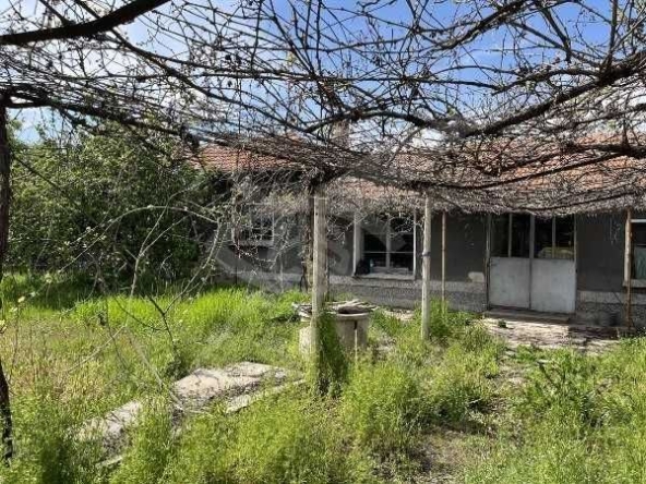 Парцел в с. Церетелево, Област Пловдив - 1310 кв.м за 13 €/кв.м - Снимка #1