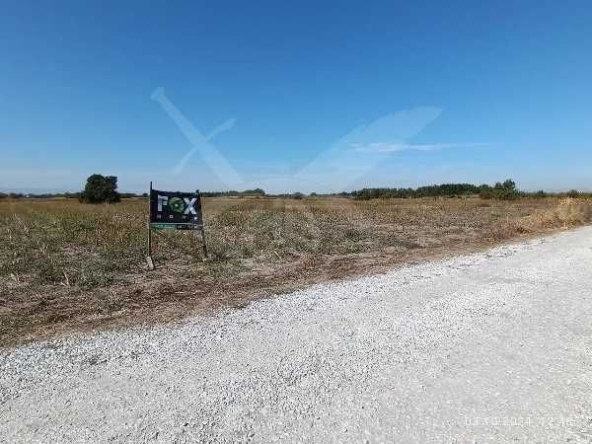 Парцел в с. Белащица, Област Пловдив - 4909 кв.м за 42 €/кв.м - Снимка #1