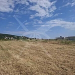 Парцел в с. Кошарица, Област Бургас - 6113 кв.м за 40 €/кв.м - Снимка #1