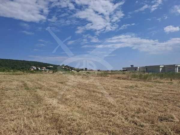 Парцел в с. Кошарица, Област Бургас - 6113 кв.м за 40 €/кв.м - Снимка #1
