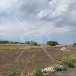 Парцел в с. Пролом, Област Пловдив - 2100 кв.м за 6 €/кв.м - Снимка #1