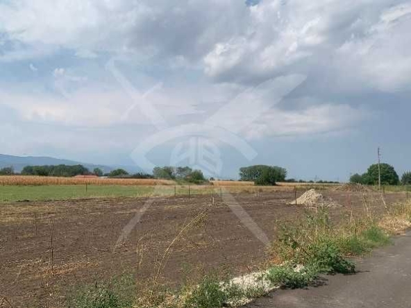 Парцел в с. Пролом, Област Пловдив - 2100 кв.м за 6 €/кв.м - Снимка #1