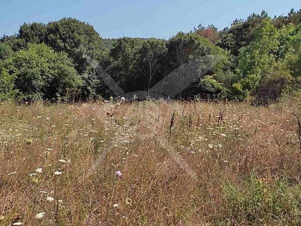 Парцел в с. Индже войвода, Област Бургас - 12000 кв.м за 2 €/кв.м - Снимка #1