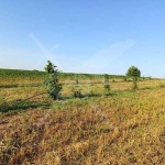 Парцел в с. Червен, Област Пловдив - 5500 кв.м за 3 €/кв.м - Снимка #1