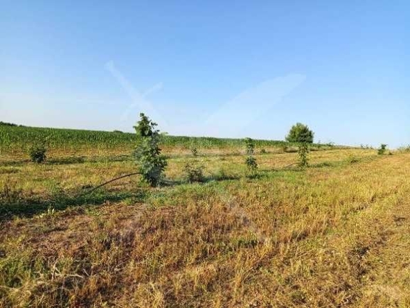 Парцел в с. Червен, Област Пловдив - 5500 кв.м за 3 €/кв.м - Снимка #1