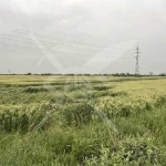 Парцел в Асеновград - 1600 кв.м за 70 €/кв.м - Снимка #1