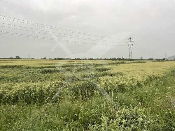 Парцел в Асеновград - 1600 кв.м за 70 €/кв.м - Снимка #1