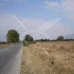 Парцел в с. Васил Левски, Област Пловдив - 3118 кв.м за 5 €/кв.м - Снимка #1