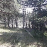 Парцел в с. Студенец, Област Смолян - 10756 кв.м за 6 €/кв.м - Снимка #1