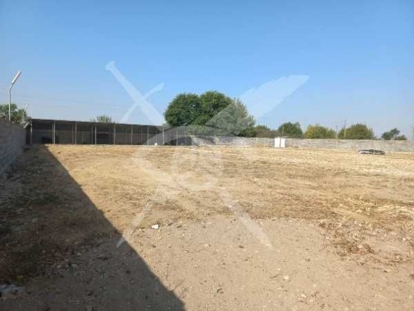 Парцел в с. Труд, Област Пловдив - 2538 кв.м за 79 €/кв.м - Снимка #1