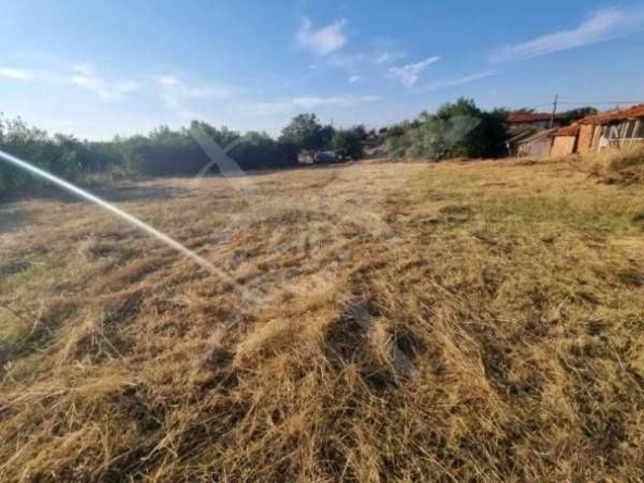 Парцел в с. Богданица, Област Пловдив - 1960 кв.м за 8 €/кв.м - Снимка #1