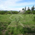 Парцел в с. Мътеница, Област Пловдив - 1497 кв.м за 14 €/кв.м - Снимка #1