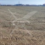 Парцел в с. Строево, Област Пловдив - 8999 кв.м за 6 €/кв.м - Снимка #1