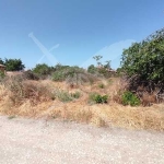 Парцел в Съединение - 1200 кв.м за 45 €/кв.м - Снимка #1