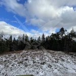 Парцел в София, Хладилника - 2878 кв.м за 90 €/кв.м - Снимка #1