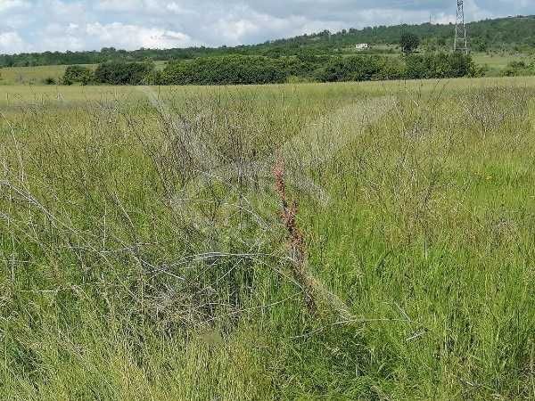 Парцел в с. Горна махала, Област Пловдив - 1050 кв.м за 16 €/кв.м - Снимка #1