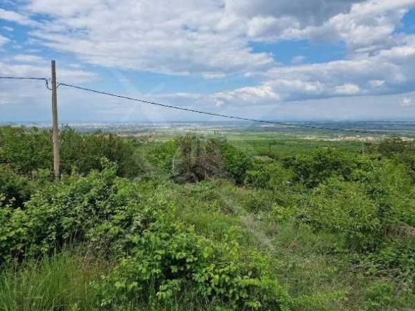 Парцел в с. Белащица, Област Пловдив - 491 кв.м за 56 €/кв.м - Снимка #1