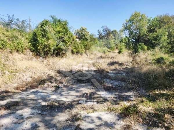 Парцел в с. Бойково, Област Пловдив - 1419 кв.м за 31 €/кв.м - Снимка #1