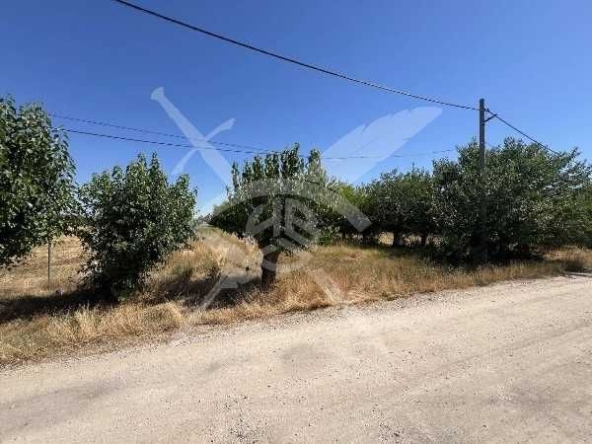 Парцел в с. Цалапица, Област Пловдив - 3181 кв.м за 39 €/кв.м - Снимка #1