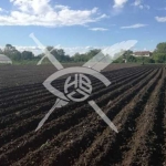 Земеделски имот в с. Равнец, Област Бургас -  кв.м за 863 €/дка - Снимка #1