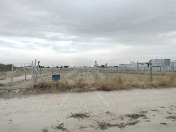 Парцел в с. Царацово, Област Пловдив - 7502 кв.м за 50 €/кв.м - Снимка #1