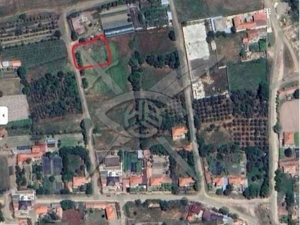 Парцел в с. Паничери, Област Пловдив - 1189 кв.м за 5 €/кв.м - Снимка #1