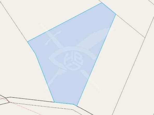 Парцел в с. Резово, Област Бургас - 4103 кв.м за 5 €/кв.м - Снимка #1